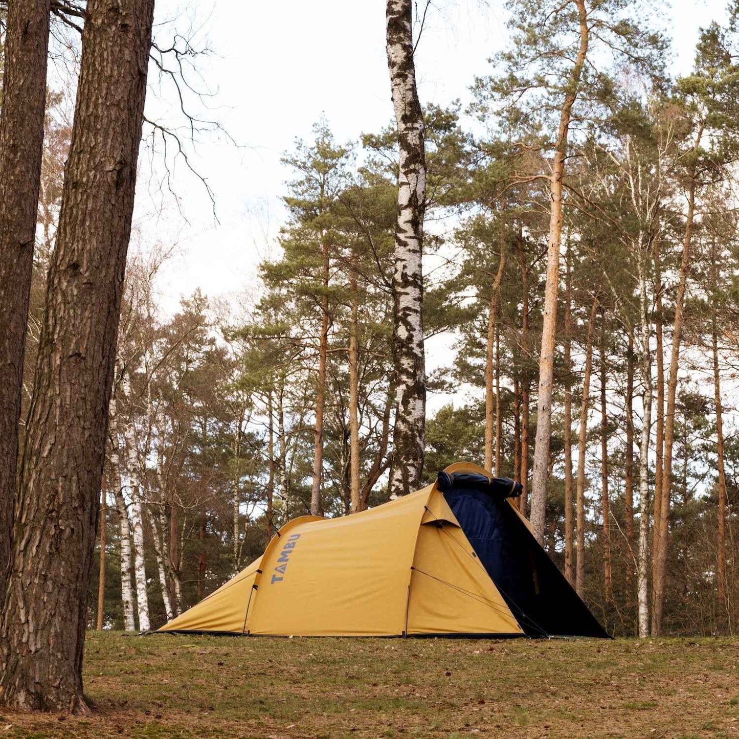 2 Personen Tunnelzelt Camping - Back Sky Trekkingzelt für Abenteuerliche Outdoor-Erlebnisse